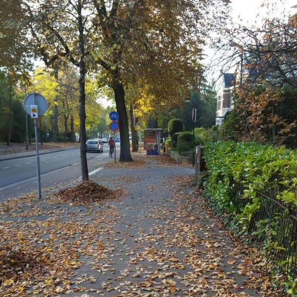 Meet your Posher, S - Picture 1 of 1